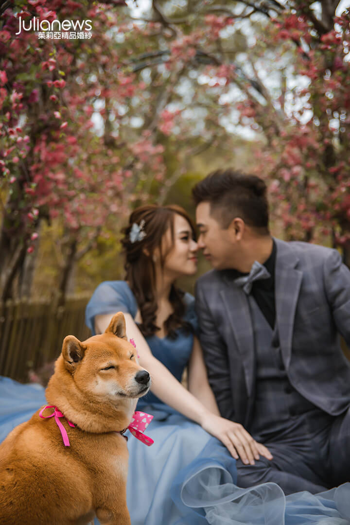 台中茱莉亞精品婚紗 婚紗攝影